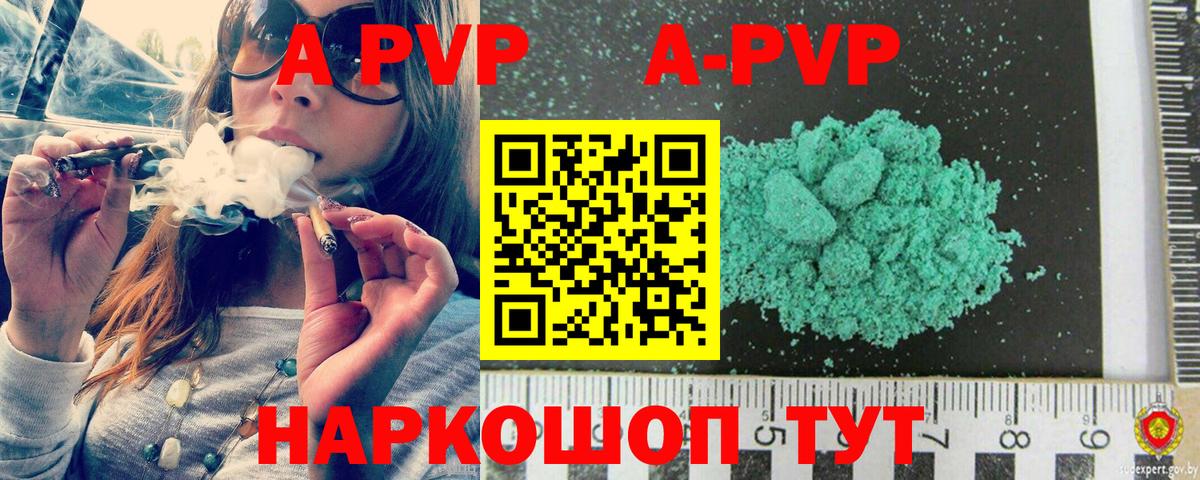 A PVP СК КРИС Владимир